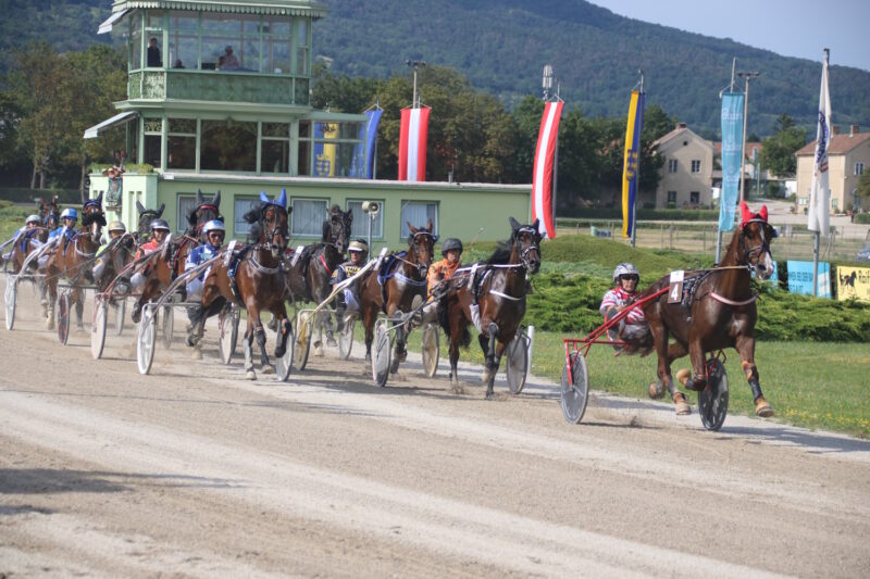 29.6.2025: ÖJC besucht Trabrennverein Baden